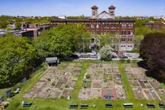 Ρεκόρ ζέστης στο Μόντρεαλ με πάνω από... 36 βαθμούς Κελσίου