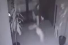 21χρονη πετάει το νεογγένητο μωρό της σε καβγά με τον πατέρα του - Το βίντεο σοκάρει