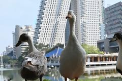 Ένας άλλος πλανήτης είναι εφικτός, αποδεδειγμένα!