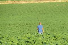 Κίνητρα σε συνταξιούχους και ανέργους για απασχόληση στα χωράφια