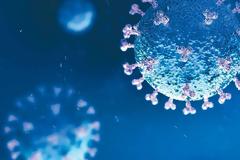 Κορωνοϊός: Νέα έρευνα «δείχνει» το βασικό σημείο εισόδου στον οργανισμό