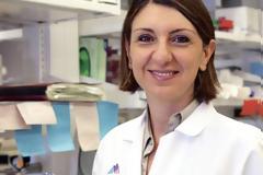 Ειρήνη Παπαπέτρου: Ερευνά στην Αμερική την θεραπεία της Οξείας Μυελογενούς Λευχαιμίας