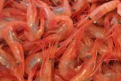 Στην Αθήνα ο Λουίτζι Ντι Μάϊο στις 9 Ιουνίου. -Mόνο οι κόκκινες γαρίδες απομένουν για την υπογραφή της ΑΟΖ