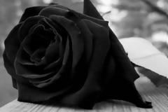 ΚΚΕ Τομεακή Οργάνωση Αιτ/νιας: Ανακοίνωση για το θάνατο της μητέρας του Μιχάλη Κατσιγιάννη