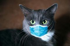 Σεμινάριο 1ο : 