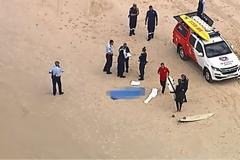 Καρχαρίας κατασπάραξε σέρφερ