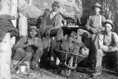 Η ιστορία του τζιν