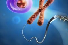 Γιατί Νοσούμε