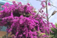 Την ομορφιά από την ασχήμια την χωρίζουν μόνο δυο –τρεις δεκάδες μέτρα .!!!