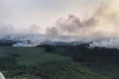 Η Κλιματική αλλαγή επηρεάζει την Σιβηρία με πυρκαγιές, βροχοπτώσεις και έντομα