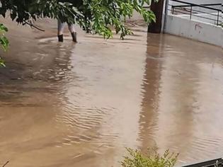 Φωτογραφία για Πλημμύρισε ποτάμι στις Σέρρες, «άνοιξαν οι ουρανοί» στη Χαλκιδική
