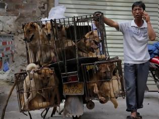 Φωτογραφία για Δεν βάζουν μυαλό. Ανοιξαν ξανά στην Κίνα το φεστιβάλ κρέατος σκύλων. Τρώνε και γάτες (video)