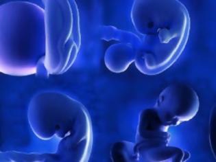 Φωτογραφία για SOS για δεκάδες χιλιάδες κατεψυγμένα έμβρυα