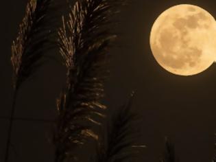 Φωτογραφία για Πανσέληνος Ιουλίου, το «φεγγάρι του Κόκκινου Ελαφιού». Σήμερα