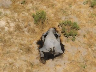 Φωτογραφία για Εκατοντάδες ελέφαντες πεθαίνουν στην Μποτσουάνα από άγνωστη αιτία