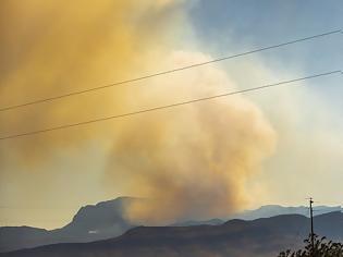Φωτογραφία για Πενήντα επτά δασικές πυρκαγιές σε 24 ώρες – Πάνω 740 πυροσβέστες στην μάχη με τις φλόγες