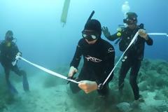 Αλόννησος: Εγκαινιάστηκε το πρώτο υποβρύχιο μουσείο της Ελλάδας - Ο «Παρθενώνας των ναυαγίων»