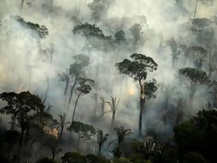 Φωτογραφία για Καίγεται και φέτος η Αμαζονία. 6800 πυρκαγιές μόνο τον Ιούλιο