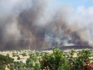 Φωτογραφία για Σε εξέλιξη μεγάλη φωτιά στην Κύπρο: Εκκενώνεται το χωριό Προαστειό
