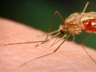 Φωτογραφία για Κρούσμα ελονοσίας σε 42χρονη στο Διδυμότειχο
