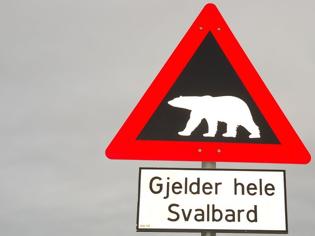 Φωτογραφία για Νορβηγία: Πολική αρκούδα επιτέθηκε και σκότωσε τουρίστα