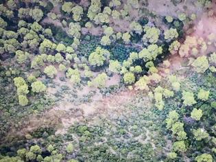 Φωτογραφία για Αποκαλυπτικές αεροφωτογραφίες από το χασισόδασος της Φθιώτιδας