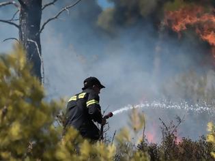 Φωτογραφία για Φωτιά στη Φέριζα Καλυβίων Αττικής κοντά σε σπίτια ΒΙΝΤΕΟ
