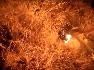 Φωτογραφία για Λέσβος, βίντεο-ντοκουμέντο: Έτσι έβαλαν οι Αφγανοί τις φωτιές που κατέκαψαν τη Μόρια