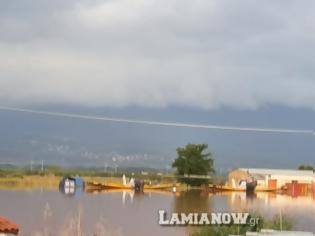 Φωτογραφία για Κακοκαιρία «Ιανός»: «Πνίγηκε» η Λαμία, πλημμύρισε το αεροδρόμιο, διεκόπη η κυκλοφορία σε πολλούς δρόμους