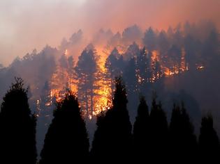 Φωτογραφία για Καλιφόρνια: Η «Glass Fire» κατακαίει την κοιλάδα της Νάπα φωτός