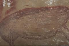 Ινδονησία: Αγριόχοιρος 50 χιλιάδων ετών - Αυτή είναι η αρχαιότερη σπηλαιογραφία ζώων