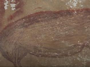 Φωτογραφία για Ινδονησία: Αγριόχοιρος 50 χιλιάδων ετών - Αυτή είναι η αρχαιότερη σπηλαιογραφία ζώων