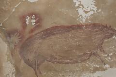 Σπουδαία ανακάλυψη στην Ινδονησία: Βρέθηκε σπηλαιογραφία αγριόχοιρου ηλικίας 45.500 ετών