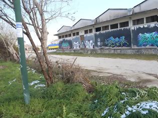 Φωτογραφία για «Ξέφραγο αμπέλι» οι παλιές αποθήκες του ΟΣΕ στη Λάρισα. Εικόνες.