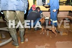 Ηλεία: «Φούσκωσε» το ποτάμι και πλημμύρισε η περιοχή στον Κακόβατο