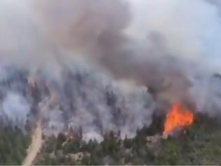 Φωτογραφία για Μεγάλη πυρκαγιά στην Αργεντινή: 65.000 στρέμματα δασικών εκτάσεων έγιναν στάχτη στον νότο