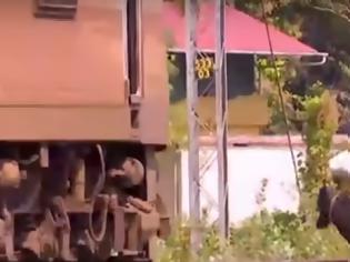 Φωτογραφία για Μηχανοδηγός σταματά το τρένο για να δίωξη από τις γραμμές αγελάδες. Βίντεο.