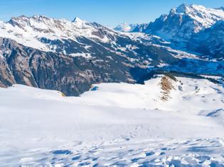 Φωτογραφία για Ελβετία: Θάφτηκαν κάτω από χιονοστιβάδα και σώθηκαν χάρη στους σκύλους τους