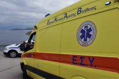 Φρίκη στα Χανιά με αποκεφαλισμένο πτώμα - Τα σκυλιά του έφαγαν το κεφάλι