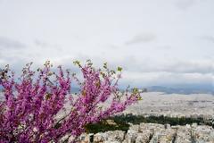 Κτηματολόγιο: Ξεκίνησε η ανάρτηση σε περιοχές της Αχαΐας και της ανατολικής Αττικής