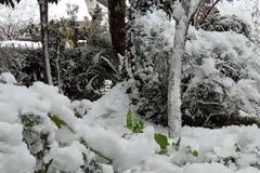 Τρίτη, 16/2/2021: Εργασίες ημέρας
