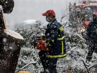 Φωτογραφία για Κακοκαιρία Μήδεια:  Άνδρας έχασε την ζωή του στην Εύβοια - Καταπλακώθηκε από δέντρο