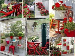 Φωτογραφία για Κόκκινες ...Πινελιές στην αυλή ή το μπαλκόνι σας