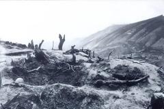 Η θρυλική μάχη στο ύψωμα 731( Μάρτιος 1941)