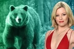 «Cocaine Bear»: Η ταινία για τη ζωή της αρκούδας που πέθανε από υπερβολική δόση κοκαΐνης