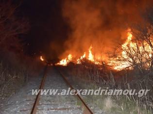 Φωτογραφία για Ακινητοποιήθηκε τρένο λόγω φωτιάς στον Σιδηροδρομικό Σταθμό Αλεξάνδρειας.