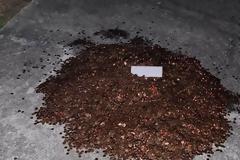 ΗΠΑ: Συνεργείο αυτοκινήτων πλήρωσε υπάλληλο σε 91.500 λαδωμένα κέρματα