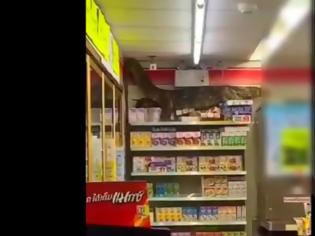 Φωτογραφία για Γιγαντιαία σαύρα κάνει άνω κάτω σουπερμάρκετ (Video)