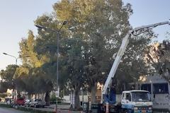 Δήμος Αγρινίου: Εργασίες καθαρισμού και κοπής των χόρτων στην εθνική οδό.