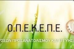 ΟΠΕΚΕΠΕ: Άνοιξε η πλατφόρμα υποβολής ενιαίας αίτησης ενίσχυσης 2021